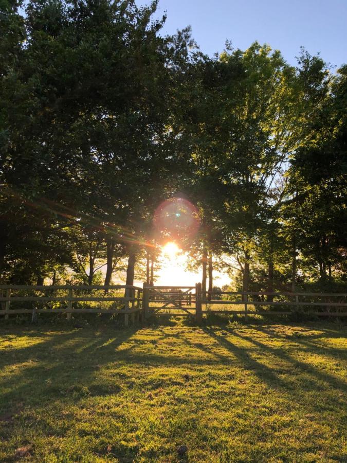 Hotel Nine Acres, Peaceful Brackley  Esterno foto